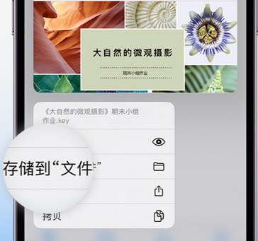 华安apple维修中心分享iPhone文件应用中存储和找到下载文件