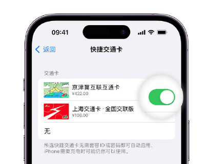 华安apple维修点分享iPhone上更换Apple Pay快捷交通卡手绘卡面 