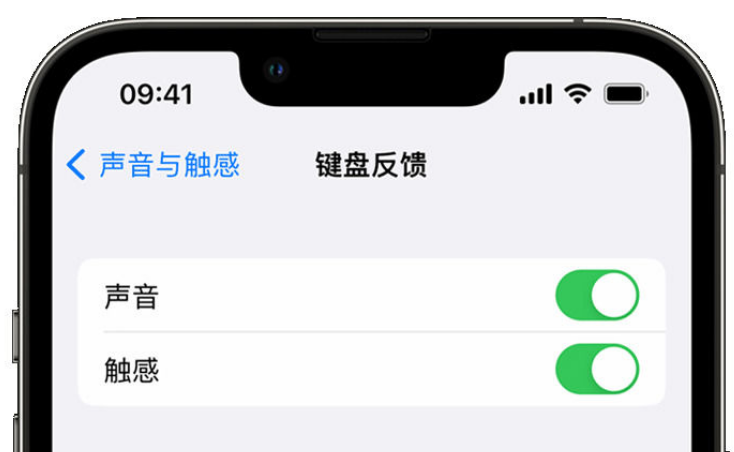 华安苹果手机维修分享iPhone 14触感键盘使用方法 