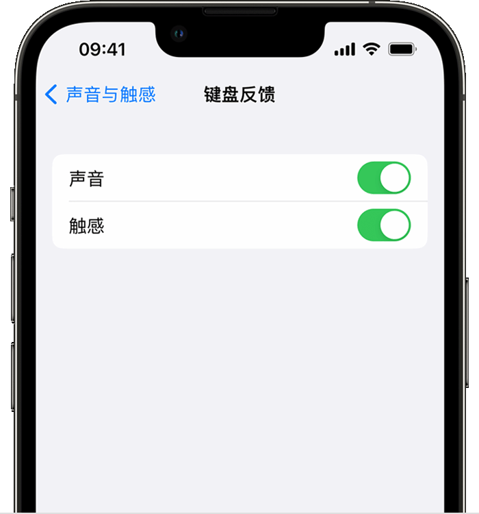 华安苹果14维修店分享如何在 iPhone 14 机型中使用触感键盘 