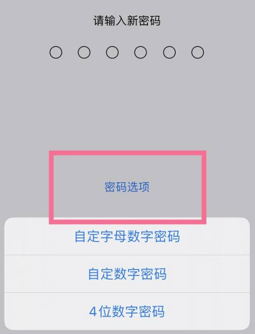 华安苹果14维修分享iPhone 14plus设置密码的方法 