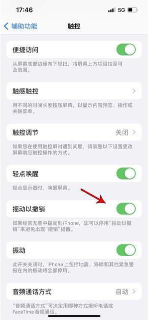 华安苹果手机维修分享iPhone手机如何设置摇一摇删除文字 